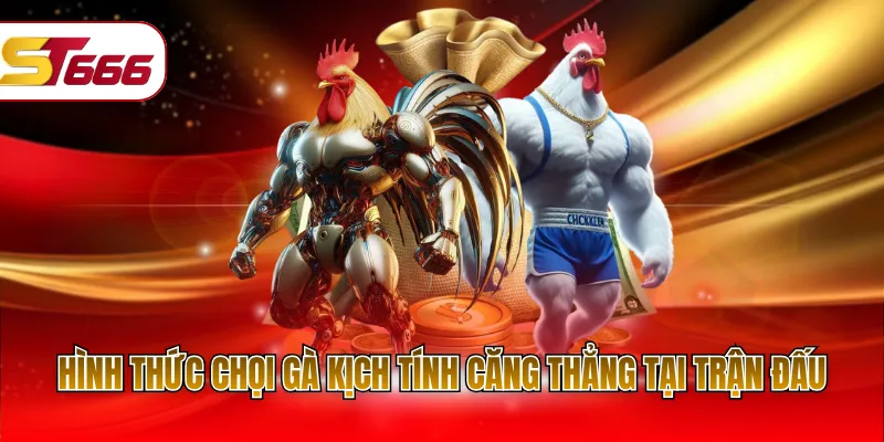 Hình thức chọi gà kịch tính căng thẳng tại trận đấu