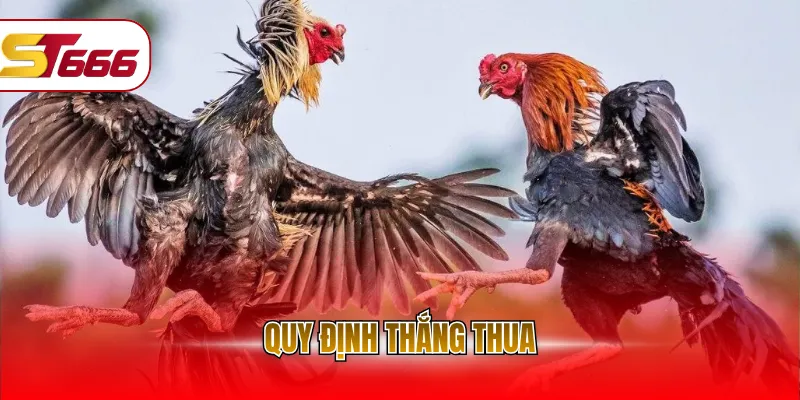 Quy định thắng thua