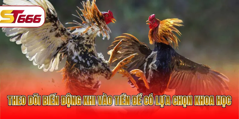 Theo dõi biến động khi vào tiền để có lựa chọn khoa học