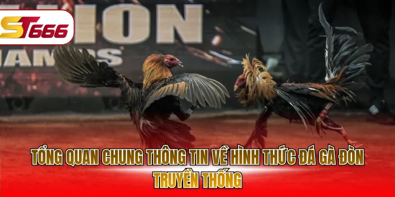 Tổng quan chung thông tin về hình thức đá gà đòn truyền thống